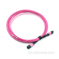 Cable de parche MPO MTP